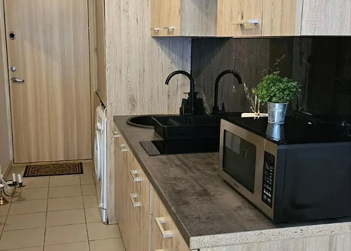 Daire Butas Su Terasa Kauno Centre Pirmame Aukste Clinic *