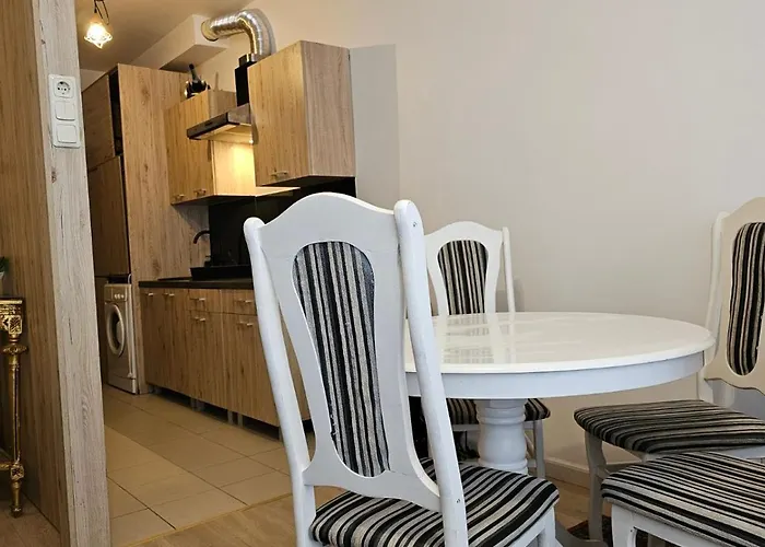 Butas Su Terasa Kauno Centre Pirmame Aukste Clinic *